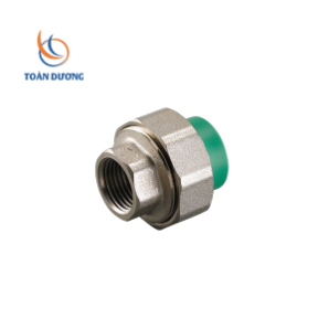 RẮC CO GIÃN REN TRONG PPR